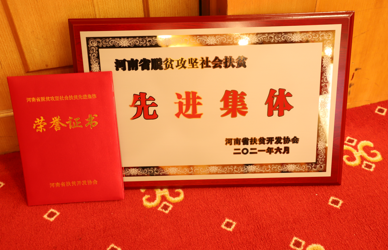 河南省扶贫开发协会第二届第二次会员代表大会召开丨我院被评为“(图4)